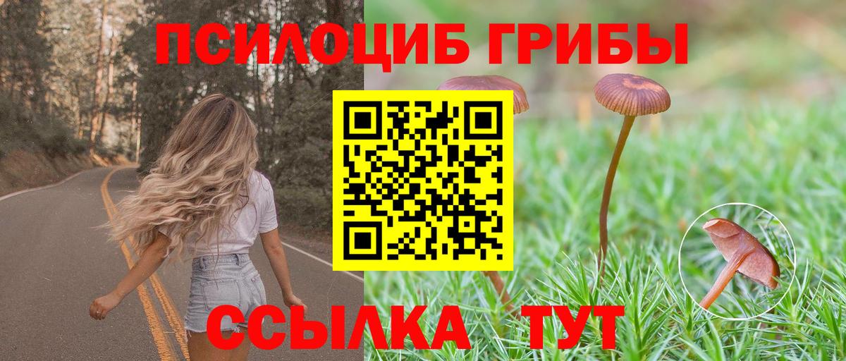 Корсаков  Псилоцибиновые грибы GOLDEN TEACHER  Вход с VPN 